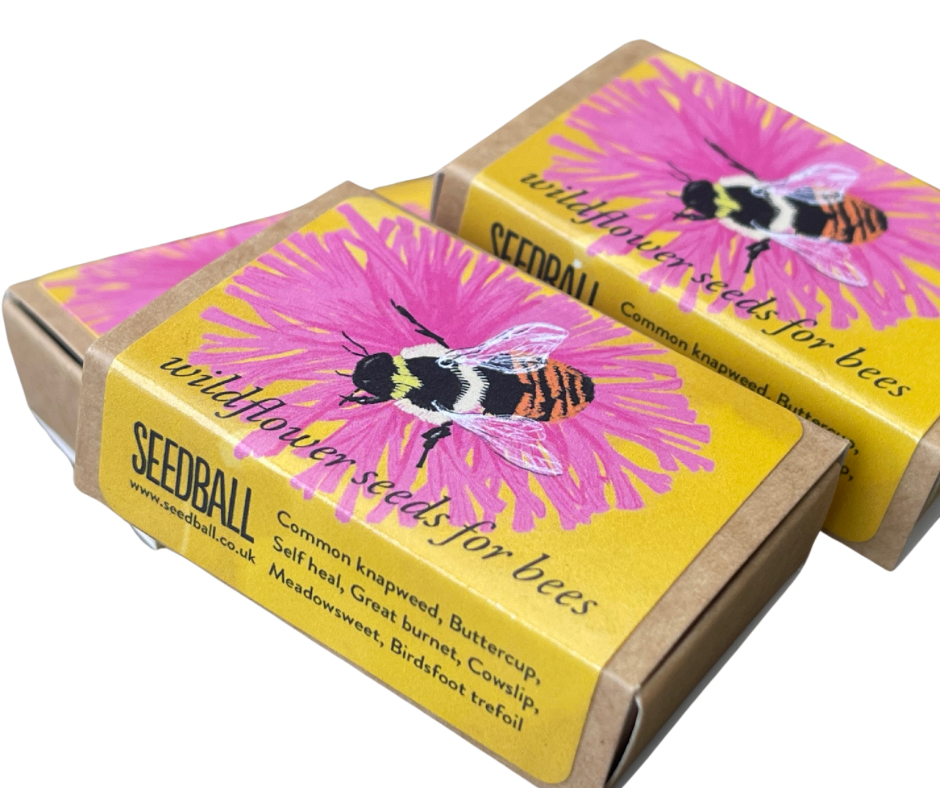 Save The Bees. 3x matchbox sized seed bombs. Great as little gifts or to re-wild your garden. Bee friendly plants.