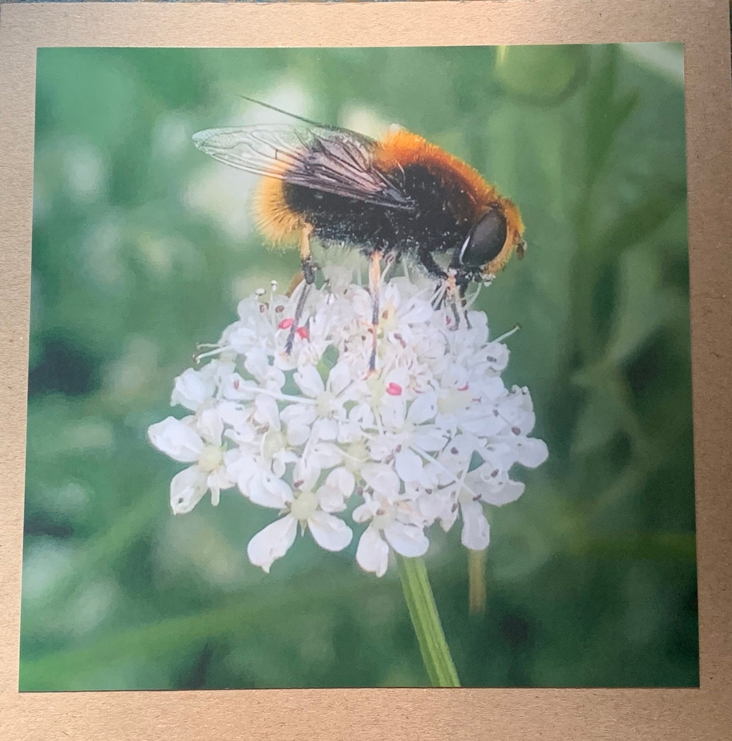 Bee card, recycled card, birthday card. Eco friendly card. Handmade card. Thank you card, blank gift card, English nature card, gift for her