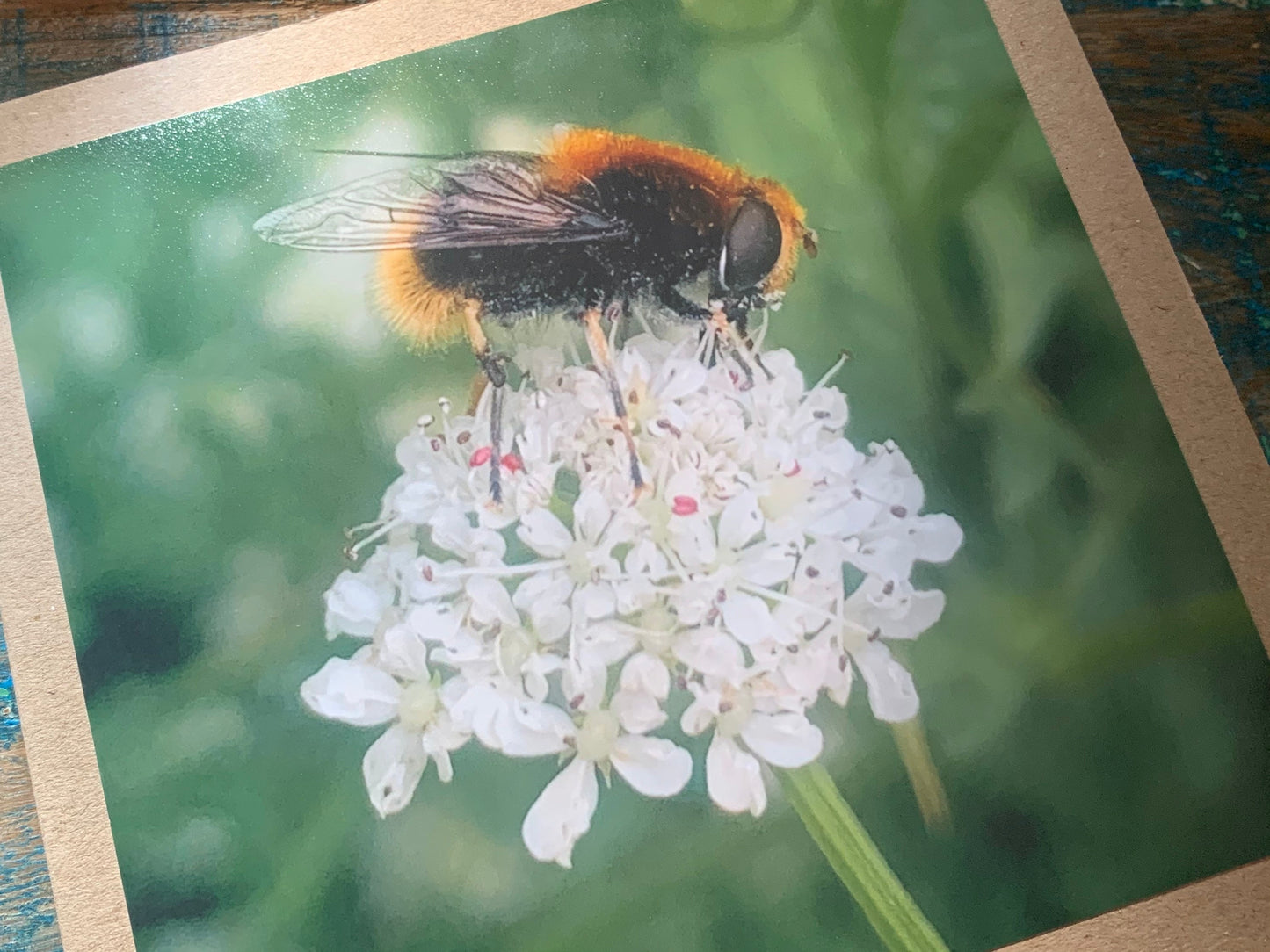 Bee card, recycled card, birthday card. Eco friendly card. Handmade card. Thank you card, blank gift card, English nature card, gift for her