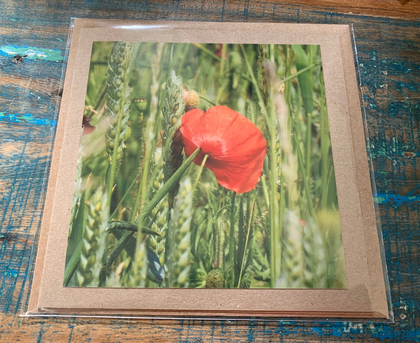 Flower card, recycled card, birthday card, remembrance card, Eco friendly card. Handmade card. Unusual card, blank gift card, poppy card