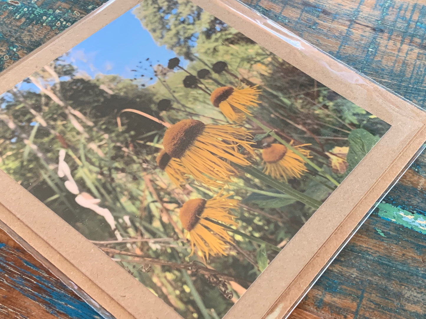 Echinacea Flower card, recycled card. Eco friendly card. Handmade card, blank gift card, Birthday card, photo card, thank you card, nature