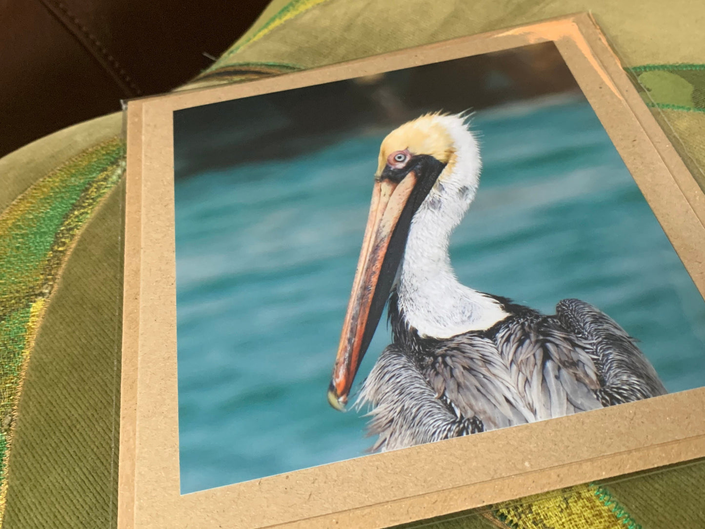 Pelican card, handmade card, gift for her, nature card. Recycled card, eco friendly card. Wildlife photo card, bird card, seaside card boho