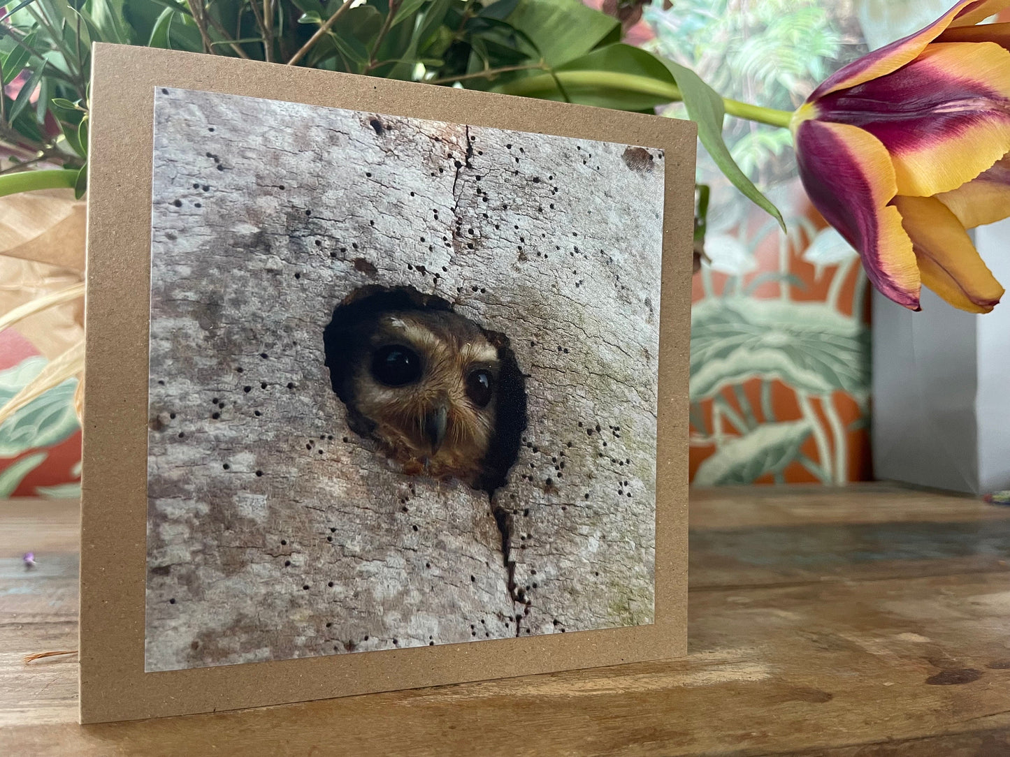 Owl card, recycled card, birthday card, nature card, gift for her. Handmade card, eco friendly card, wildlife card, handmade greetings card