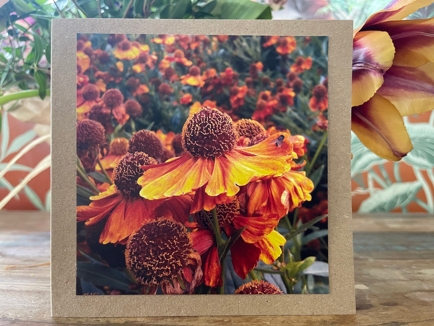 Flower card, handmade card for her. Recycled card, boho eco friendly card. Thank you card for gardener, gift for her, echinacea card