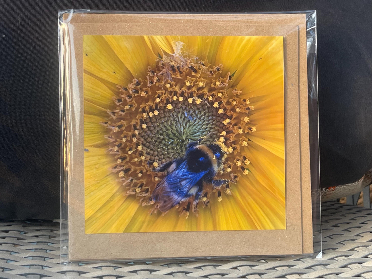 Bee card, recycled card, birthday card. Eco friendly card. Handmade card. Thank you card, blank gift card, English nature card, gift for her