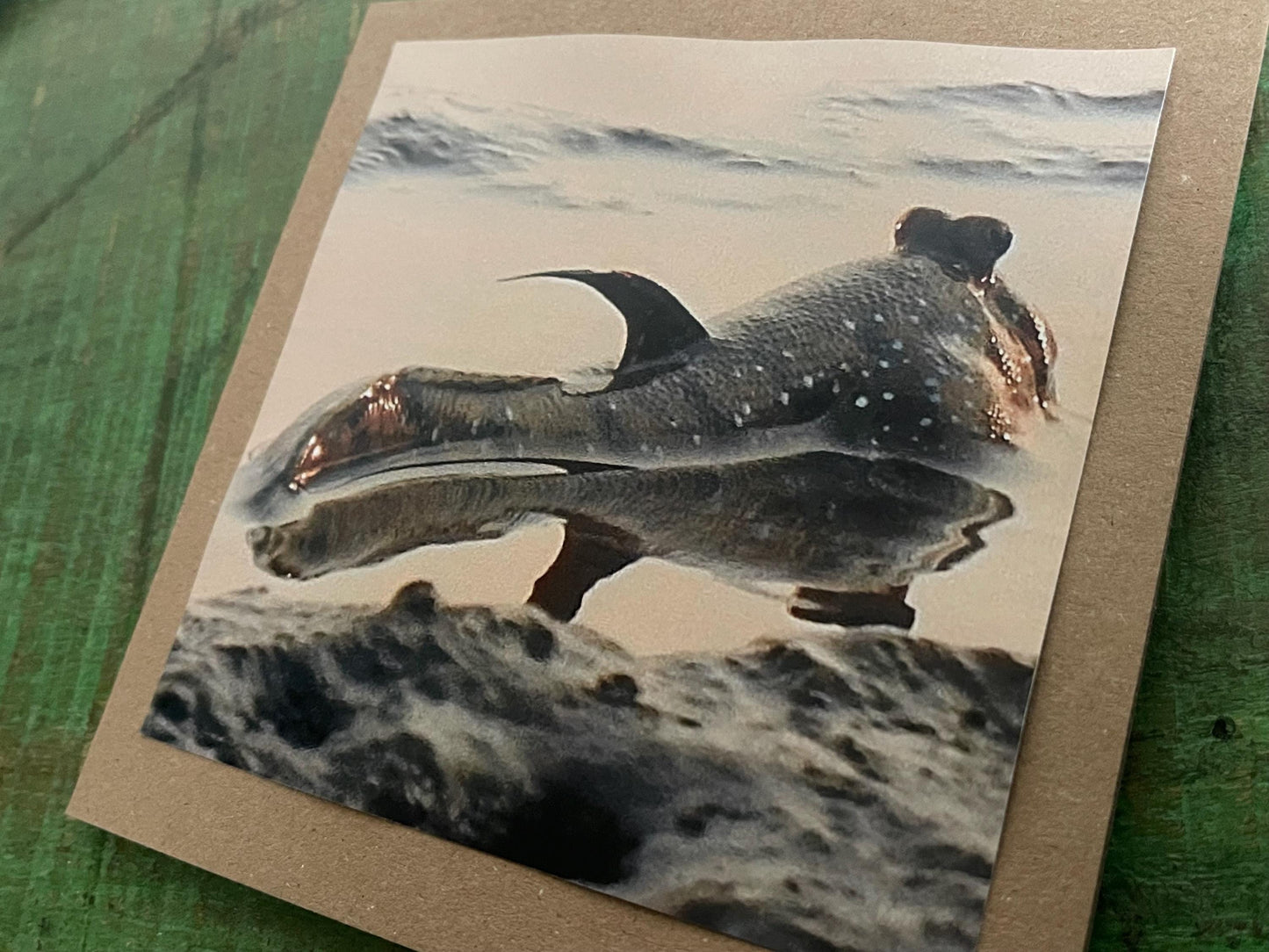 Mudskipper Card for fisherman, Handmade card, recycled card, seaside card, sunset card, fishermans card, eco friendly cards, recycled cards