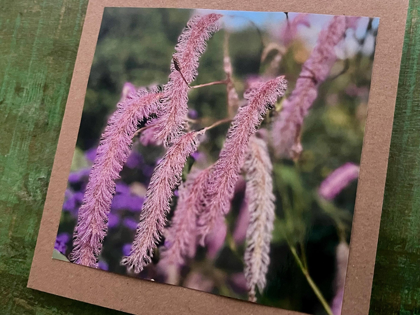 Flower card, handmade card for her. Recycled card, boho eco friendly card. Thank you card for gardener, gift for her, echinacea card