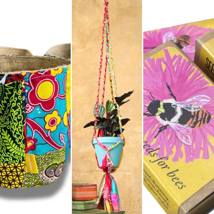 Plant Pots and Seeds