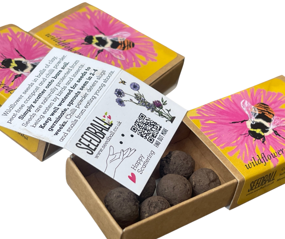 Save The Bees. 3x matchbox sized seed bombs. Great as little gifts or to re-wild your garden. Bee friendly plants.