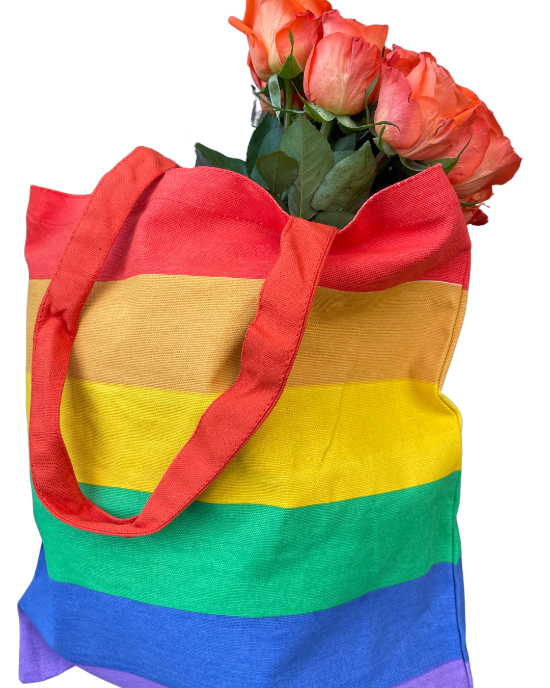 Eco Friendly Recycled Cotton Rainbow Bag.