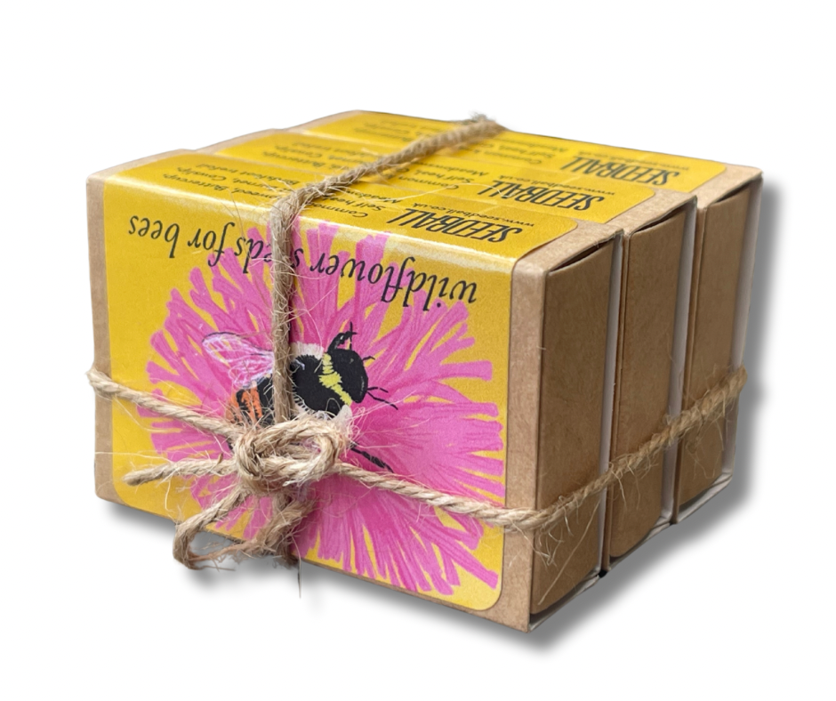 Save The Bees. 3x matchbox sized seed bombs. Great as little gifts or to re-wild your garden. Bee friendly plants.