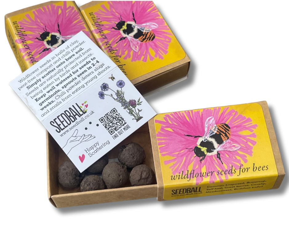 Save The Bees. 3x matchbox sized seed bombs. Great as little gifts or to re-wild your garden. Bee friendly plants.
