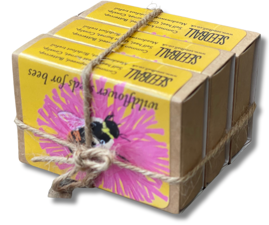 Save The Bees. 3x matchbox sized seed bombs. Great as little gifts or to re-wild your garden. Bee friendly plants.