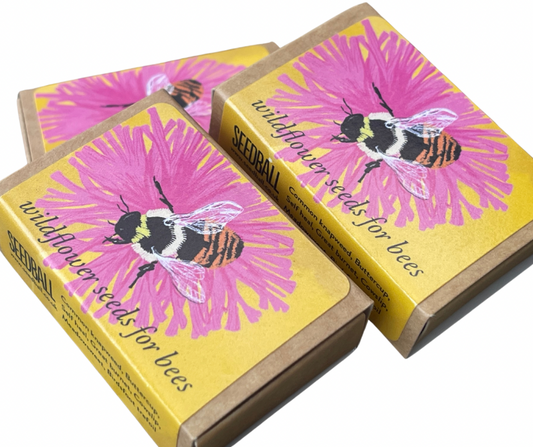 Save The Bees. 3x matchbox sized seed bombs. Great as little gifts or to re-wild your garden. Bee friendly plants.