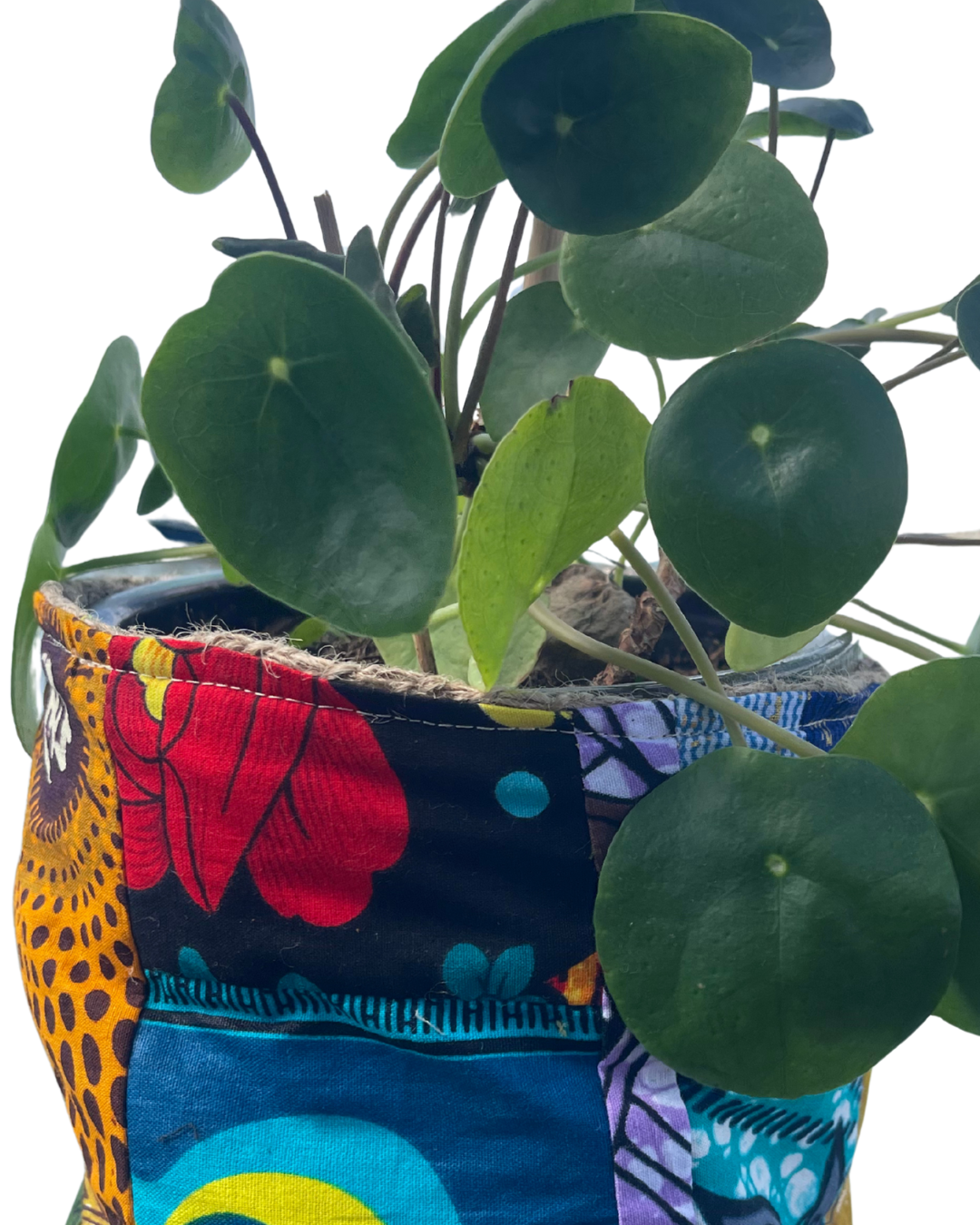 Recycled Plant Holders/Storage Containers