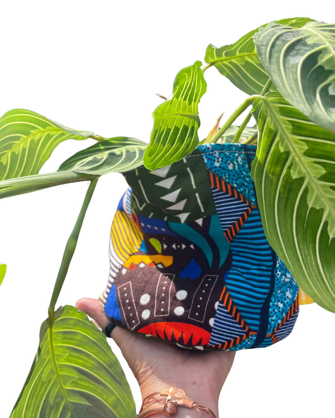 Recycled Plant Holders/Storage Containers