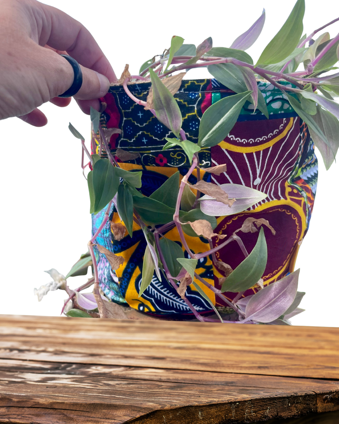 Recycled Plant Holders/Storage Containers