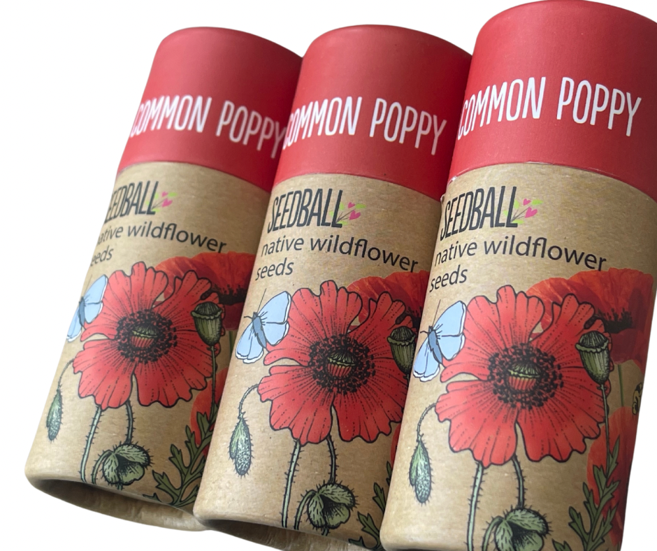 Poppy seed bombs. Flower bombs Save The Bees! Great as little gifts (perfect for remembrance) or to re-wild your garden. Bee friendly plants and gifts, made in the UK.