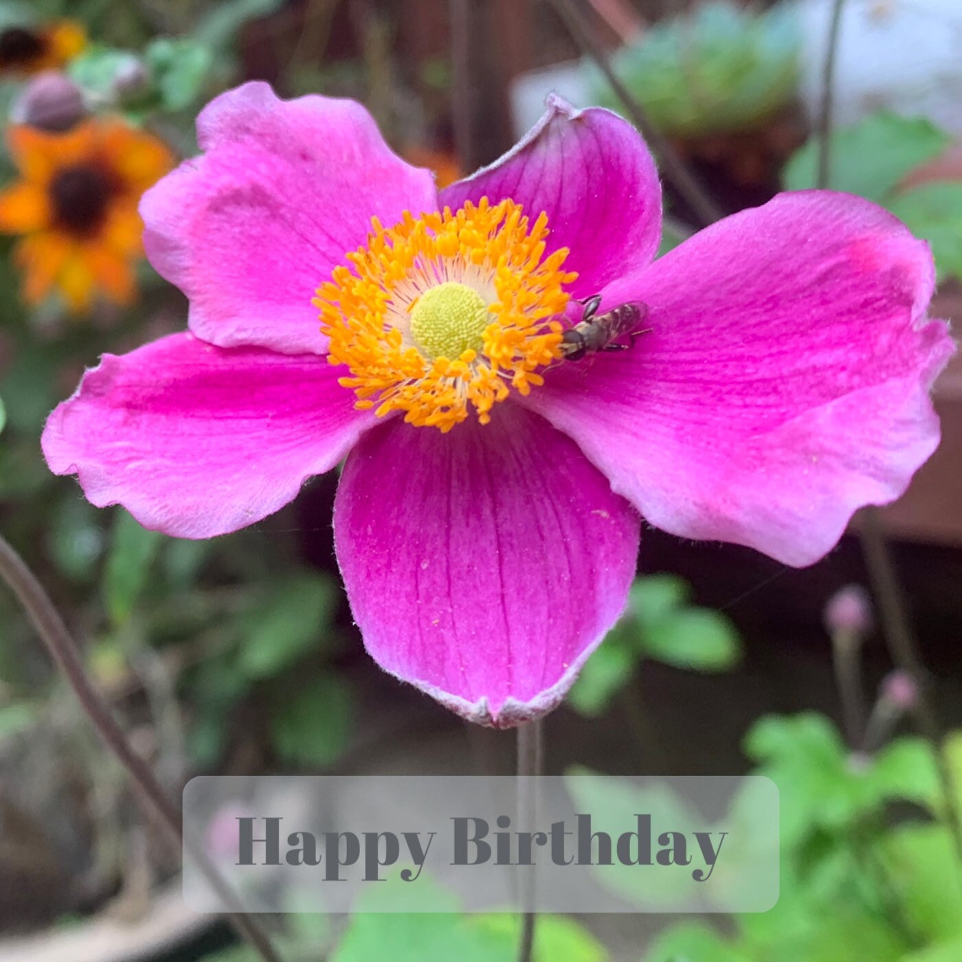 Flower card, recycled card, birthday card, pink birthday gift, Eco friendly card. Handmade birthday card. Unusual birthday card, floral card