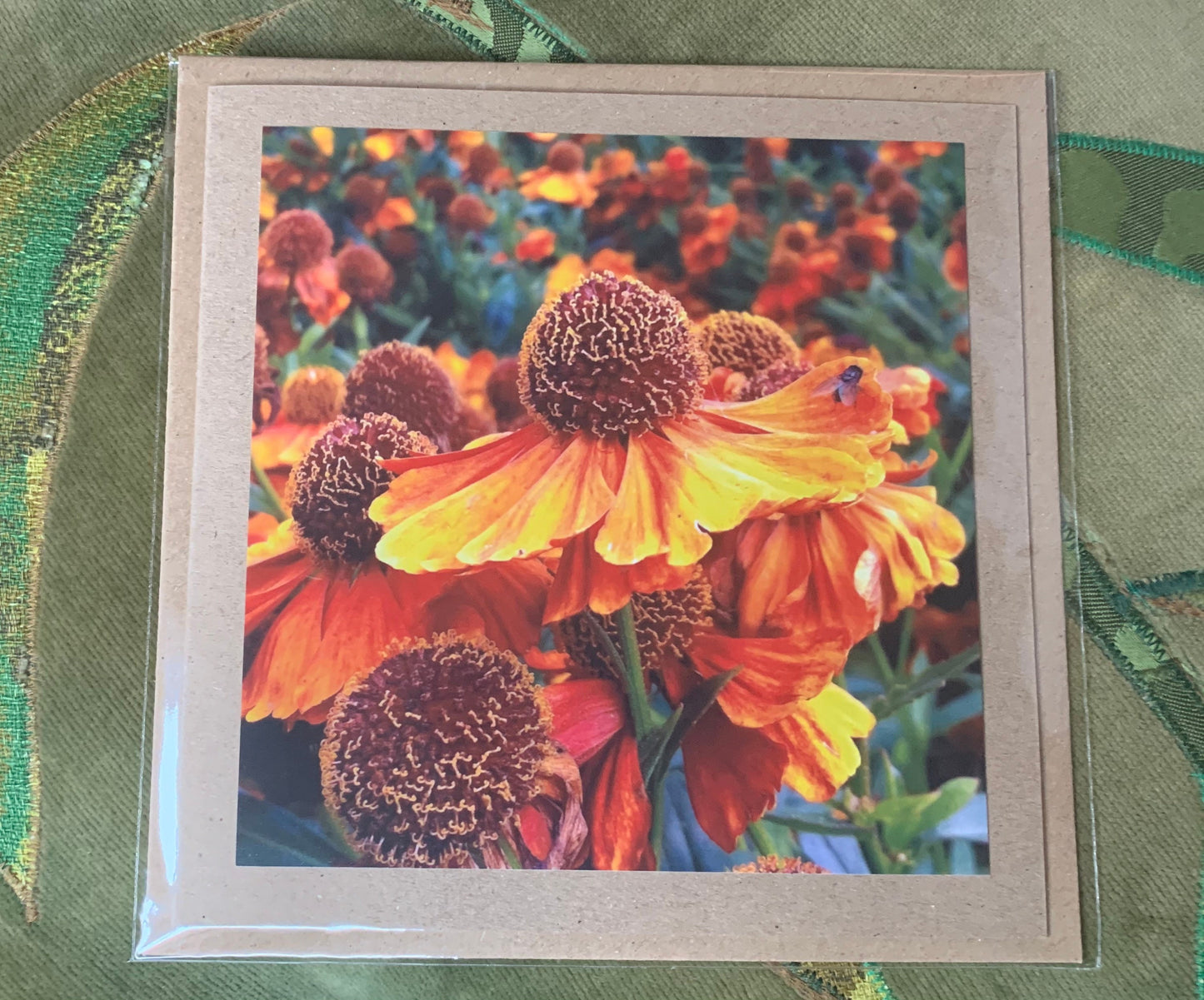 Flower card, handmade card for her. Recycled card, boho eco friendly card. Thank you card for gardener, gift for her, echinacea card