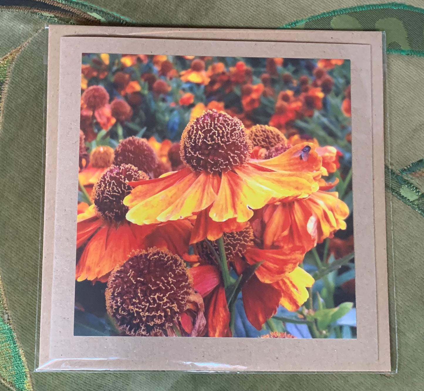 Flower card, handmade card for her. Recycled card, boho eco friendly card. Thank you card for gardener, gift for her, echinacea card
