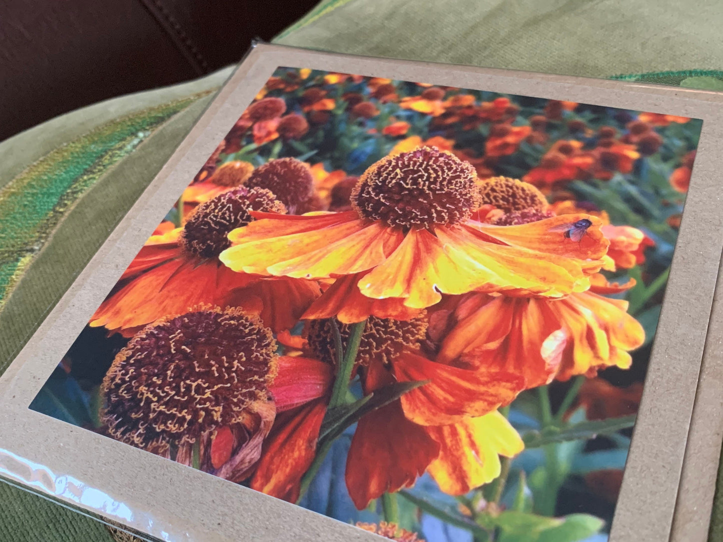 Flower card, handmade card for her. Recycled card, boho eco friendly card. Thank you card for gardener, gift for her, echinacea card