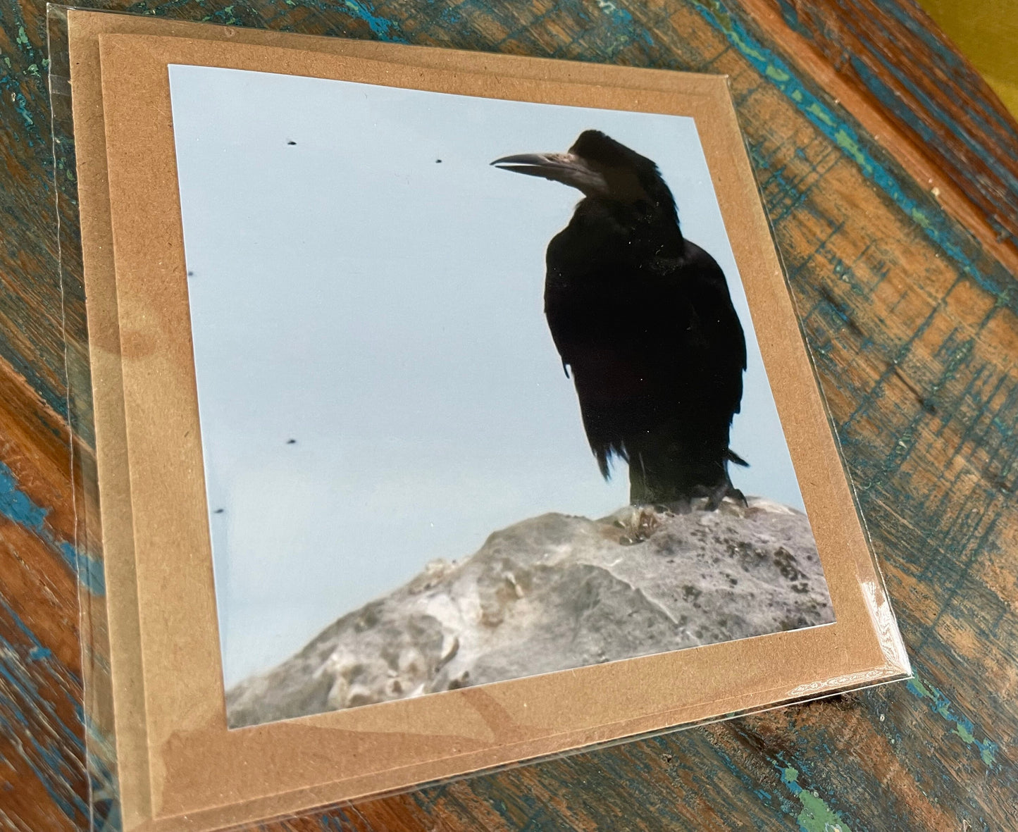 Watching flies - meditation card :) Crow card, recycled card, birthday card, Eco friendly card. Handmade card. Unusual card, blank gift card