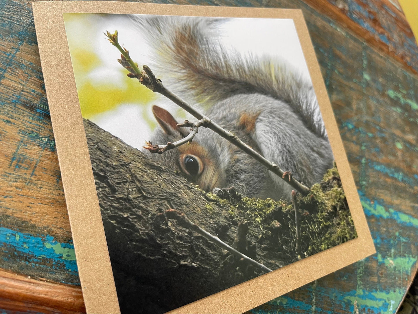 Squirrel card. Get well soon card, recycled card, birthday card, Eco friendly card. Handmade card. Sympathy card, thank you card, wildlife