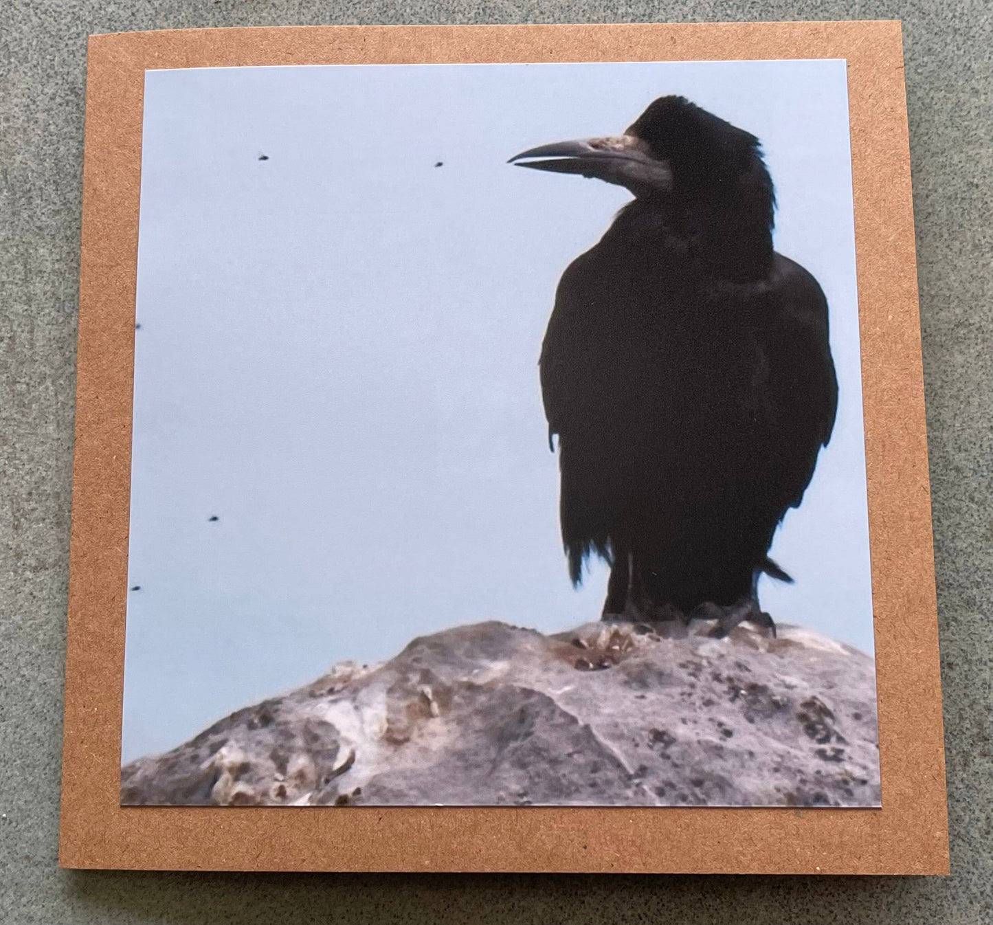 Watching flies - meditation card :) Crow card, recycled card, birthday card, Eco friendly card. Handmade card. Unusual card, blank gift card
