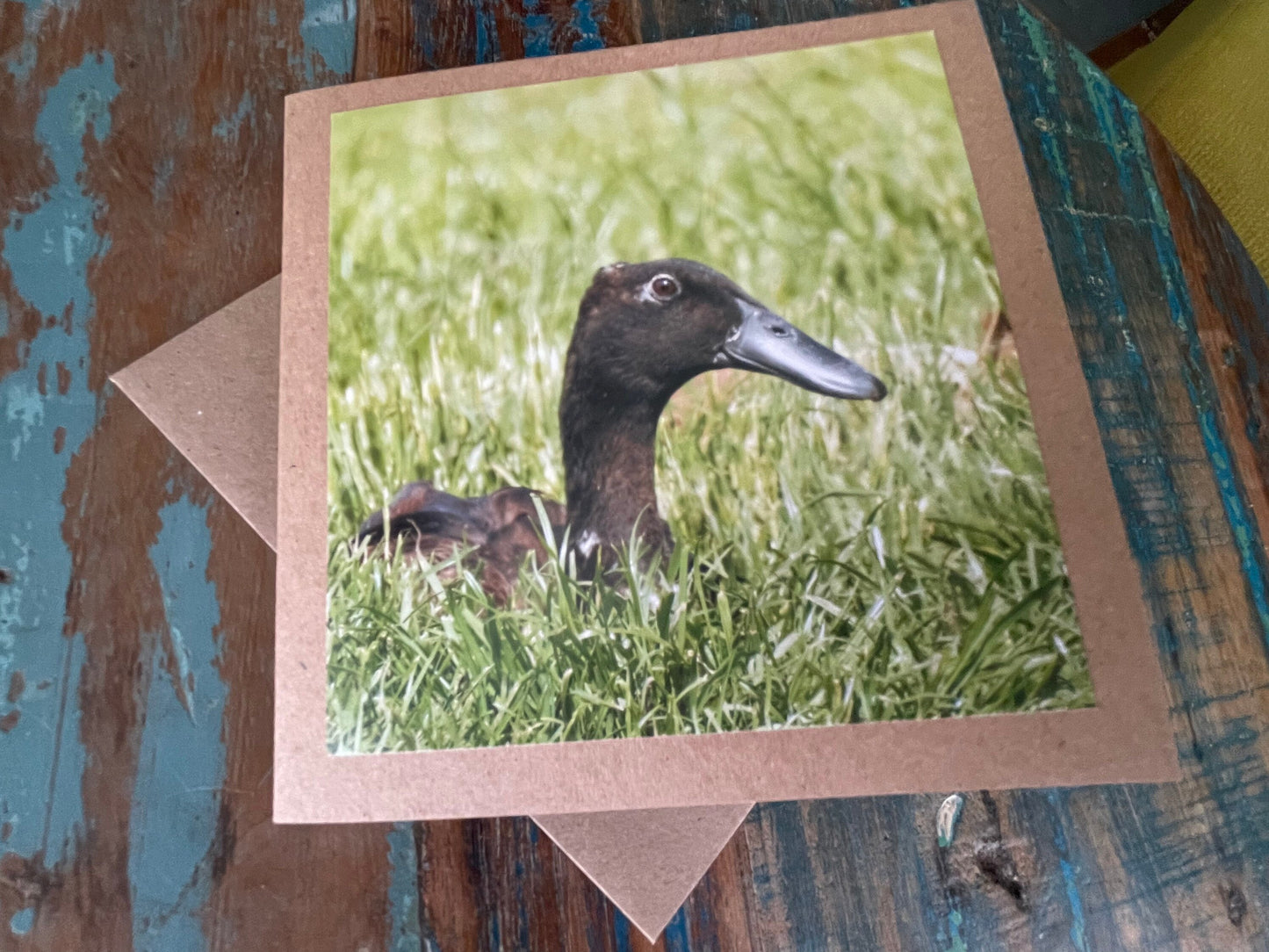 Puddle duck card, bird card, nature card, handmade card, photo card, thank you card. Easter card, birthday card. Blank gift card, wildlife