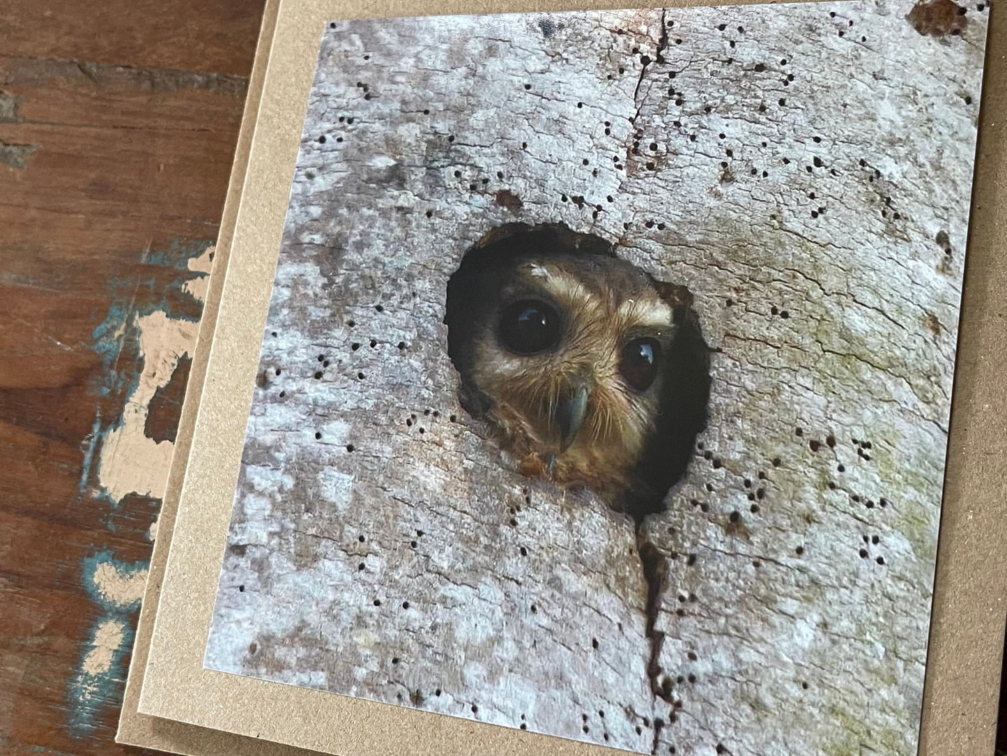 Owl card, recycled card, birthday card, nature card, gift for her. Handmade card, eco friendly card, wildlife card, handmade greetings card