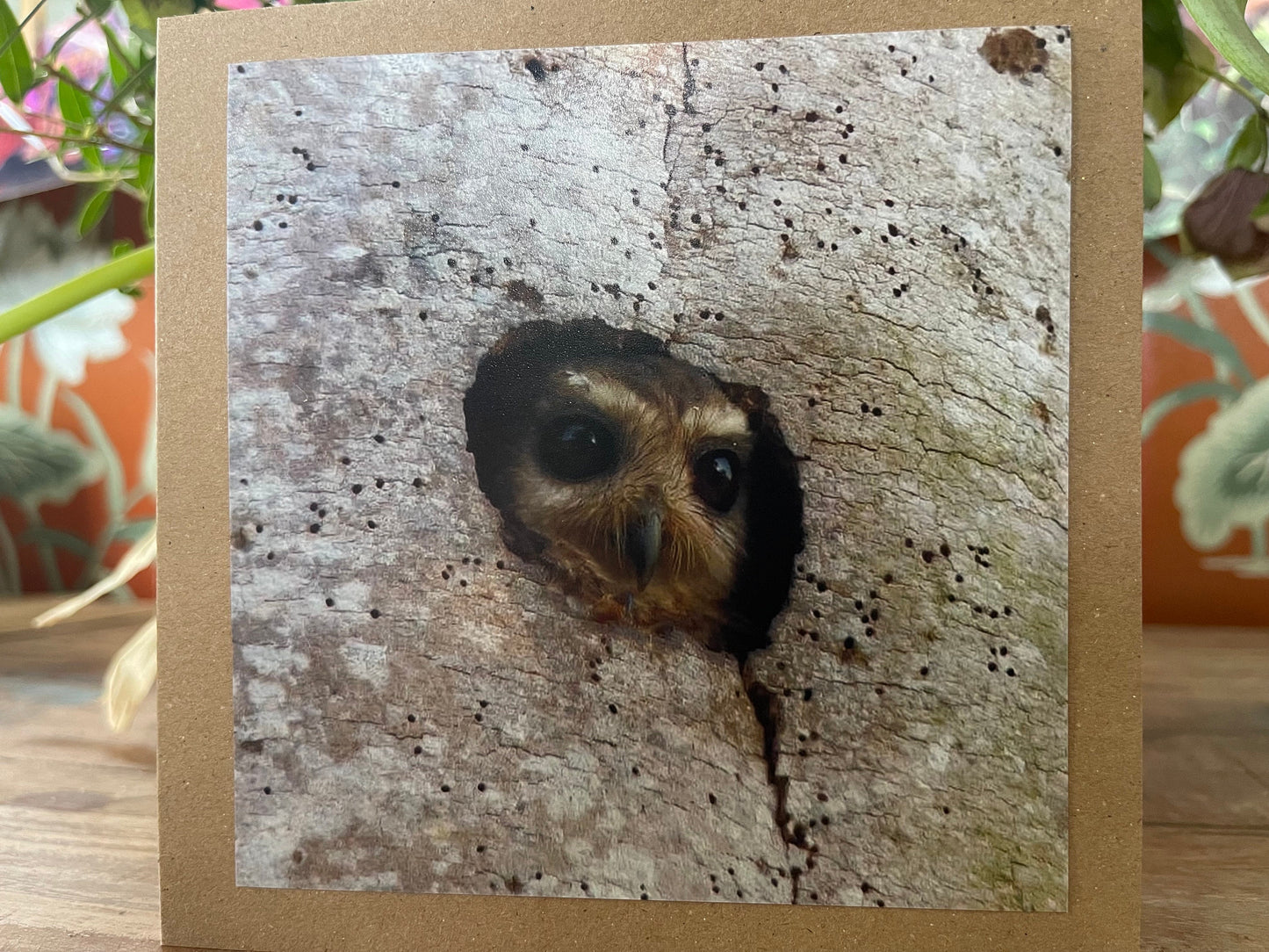 Owl card, recycled card, birthday card, nature card, gift for her. Handmade card, eco friendly card, wildlife card, handmade greetings card