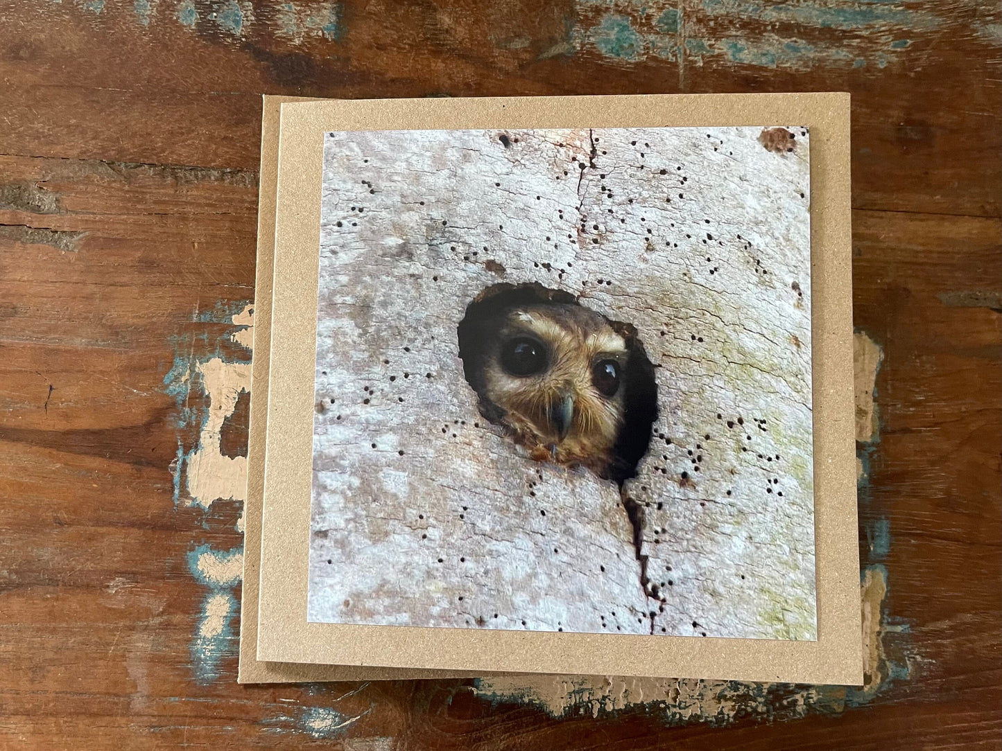 Owl card, recycled card, birthday card, nature card, gift for her. Handmade card, eco friendly card, wildlife card, handmade greetings card