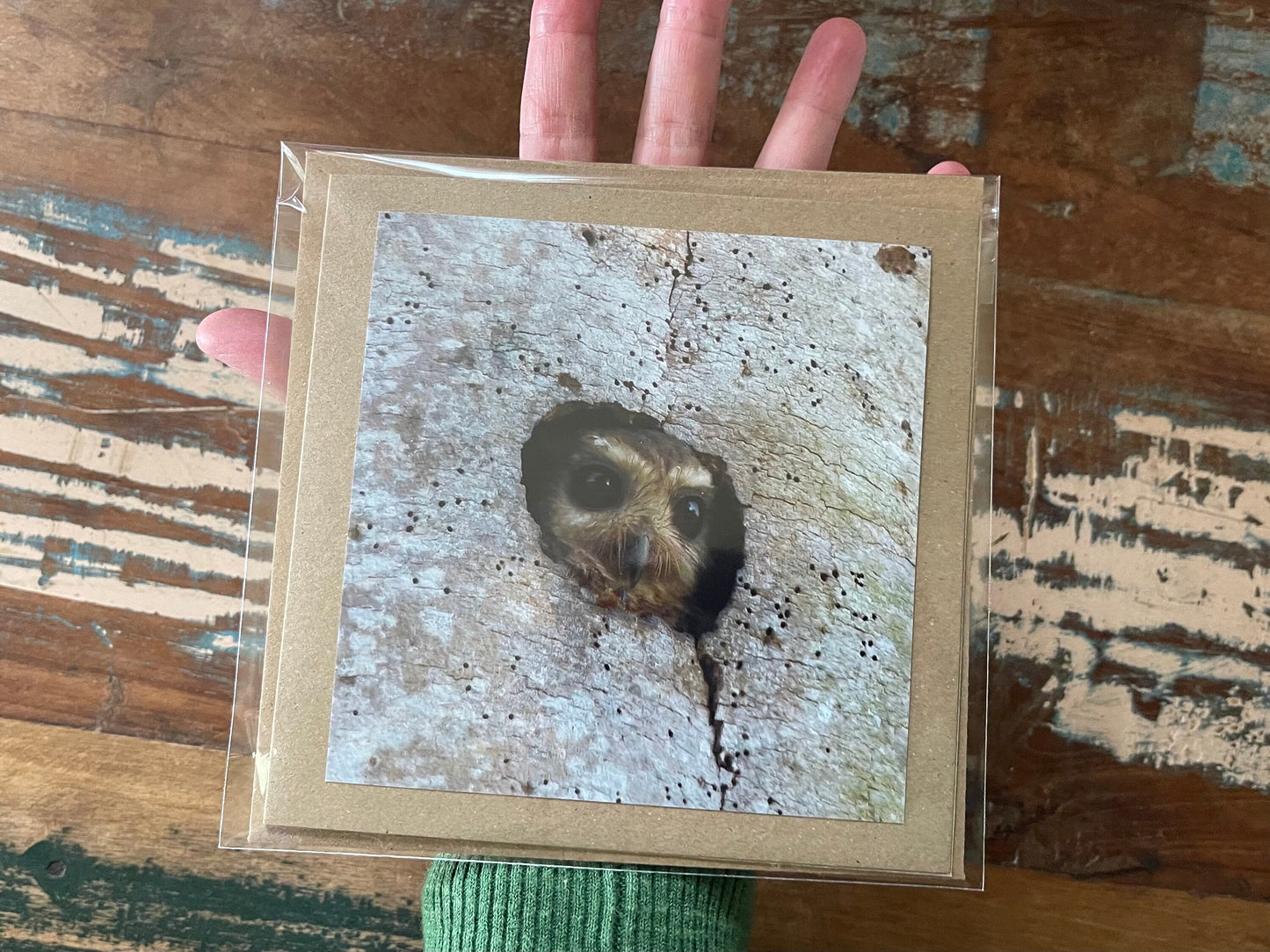 Owl card, recycled card, birthday card, nature card, gift for her. Handmade card, eco friendly card, wildlife card, handmade greetings card