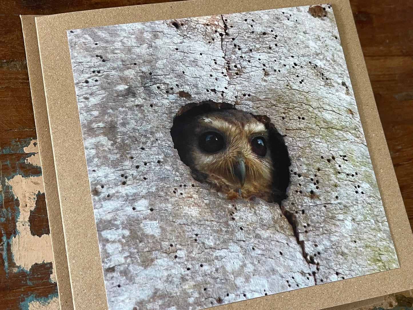 Owl card, recycled card, birthday card, nature card, gift for her. Handmade card, eco friendly card, wildlife card, handmade greetings card