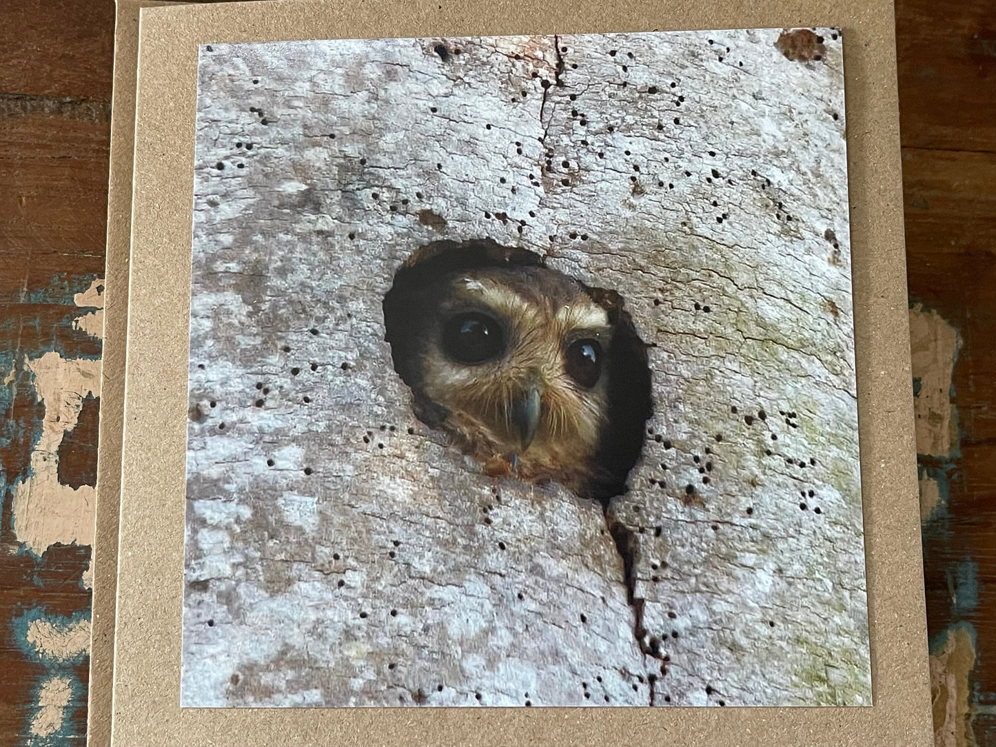 Owl card, recycled card, birthday card, nature card, gift for her. Handmade card, eco friendly card, wildlife card, handmade greetings card