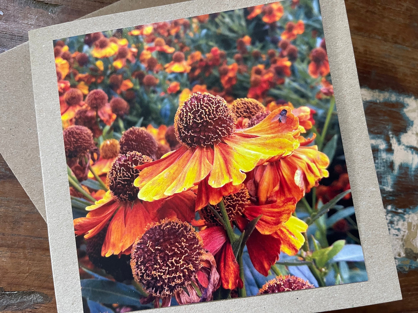 Flower card, handmade card for her. Recycled card, boho eco friendly card. Thank you card for gardener, gift for her, echinacea card