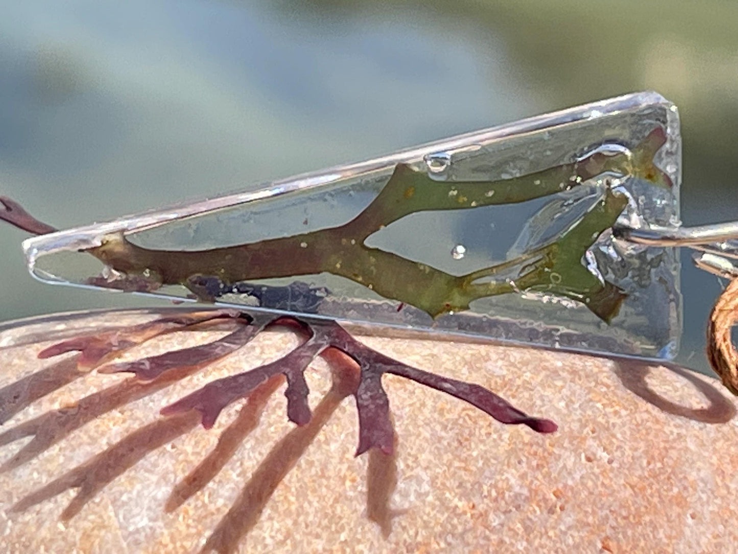 Seaweed necklace, gift for ocean lover, unique pendant, handmade necklace, boho necklace, unique jewellery ,unusual necklace, gift for her
