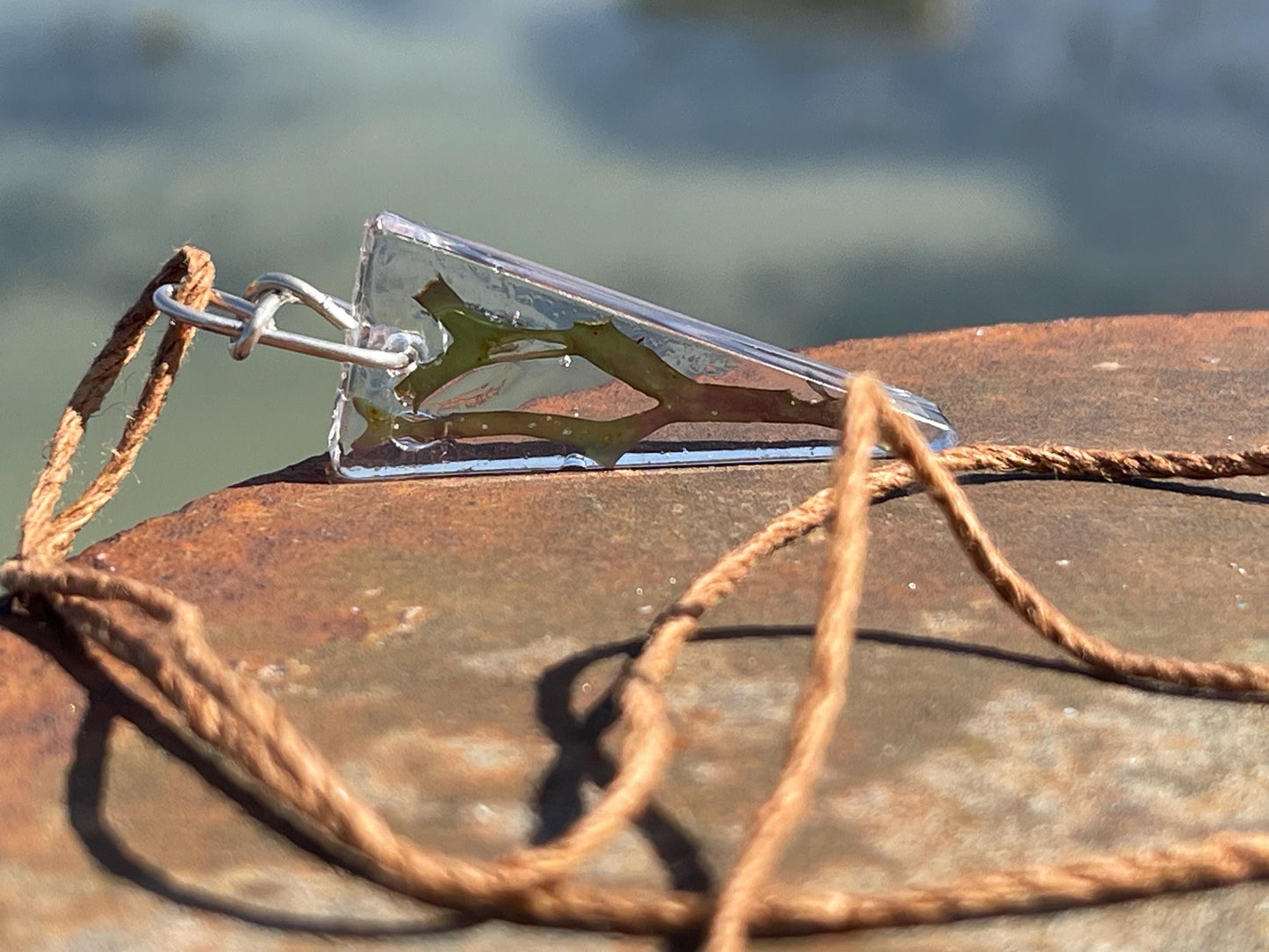 Seaweed necklace, gift for ocean lover, unique pendant, handmade necklace, boho necklace, unique jewellery ,unusual necklace, gift for her