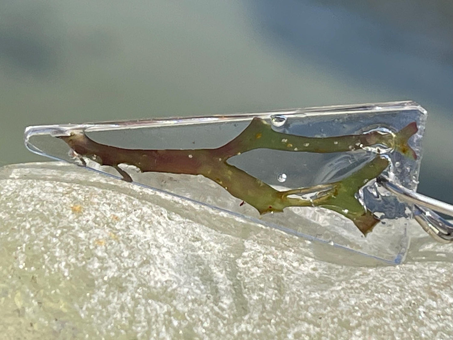 Seaweed necklace, gift for ocean lover, unique pendant, handmade necklace, boho necklace, unique jewellery ,unusual necklace, gift for her