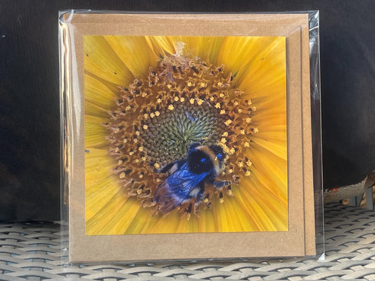 Bee card, recycled card, birthday card. Eco friendly card. Handmade card. Thank you card, blank gift card, English nature card, gift for her