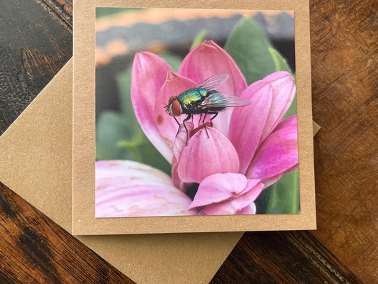 recycled card, eco friendly card, flower card. Birthday card, handmade card, thank you card, pink card, boho card for gardener, eco cards