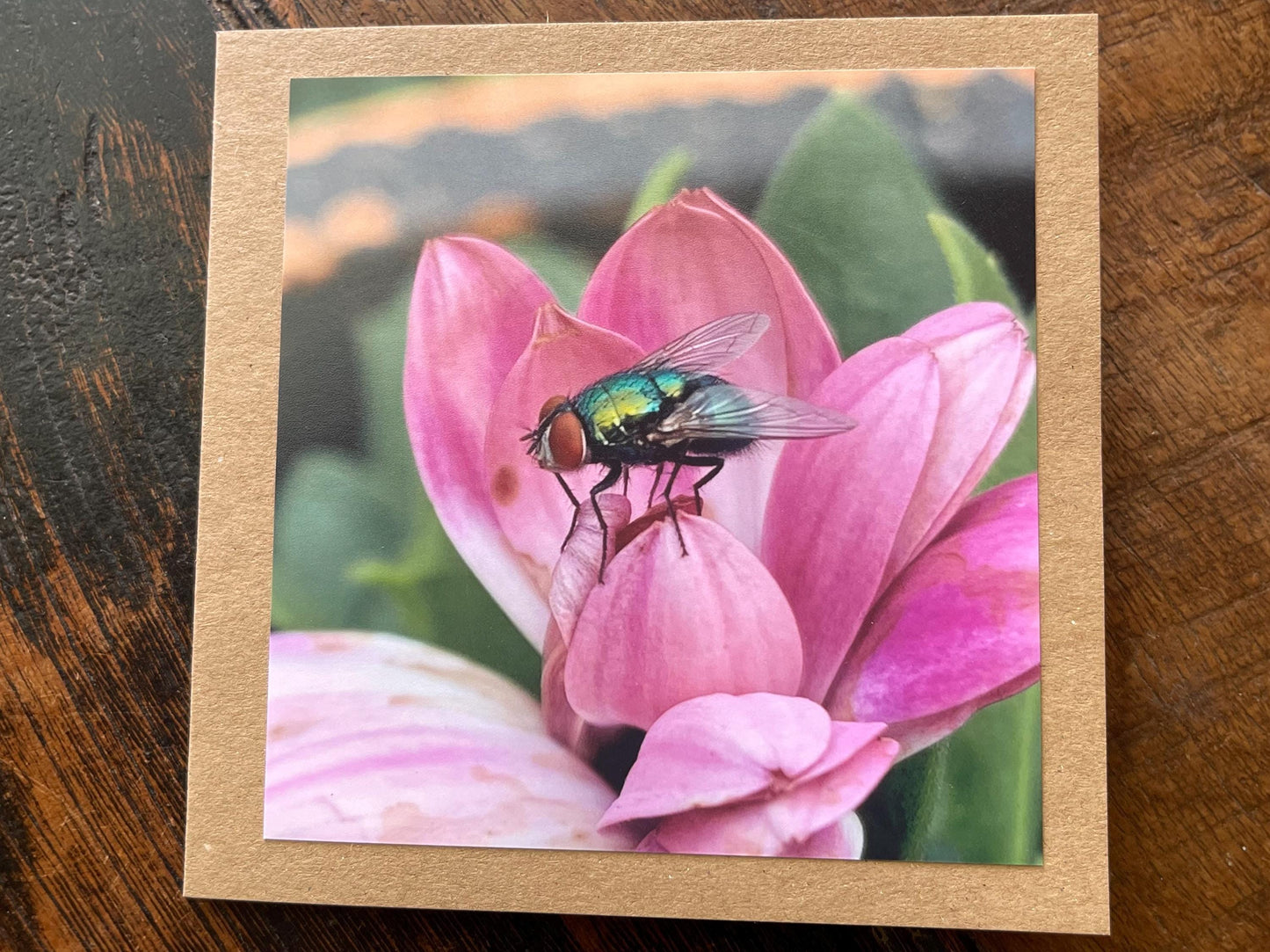 recycled card, eco friendly card, flower card. Birthday card, handmade card, thank you card, pink card, boho card for gardener, eco cards