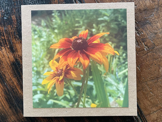 recycled card, eco friendly card, flower card. Birthday card, handmade card, thank you card, pink card, boho card for gardener, eco cards