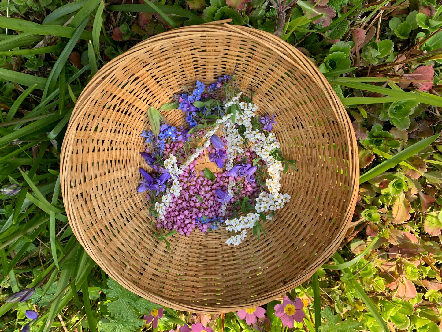 Flower necklace, ethical jewellery, rose necklace, handmade necklace, boho jewellery, gift for her flower pendant, handmade boho necklace