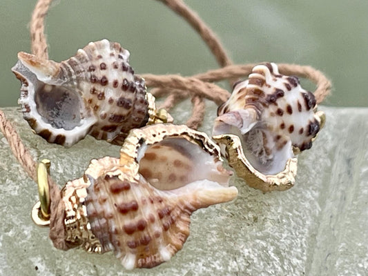 Pretty little painted gold shell necklace held on recycled brass and sustainable hemp. Shell jewellery. Boho jewellery. Eco friendly gifts.