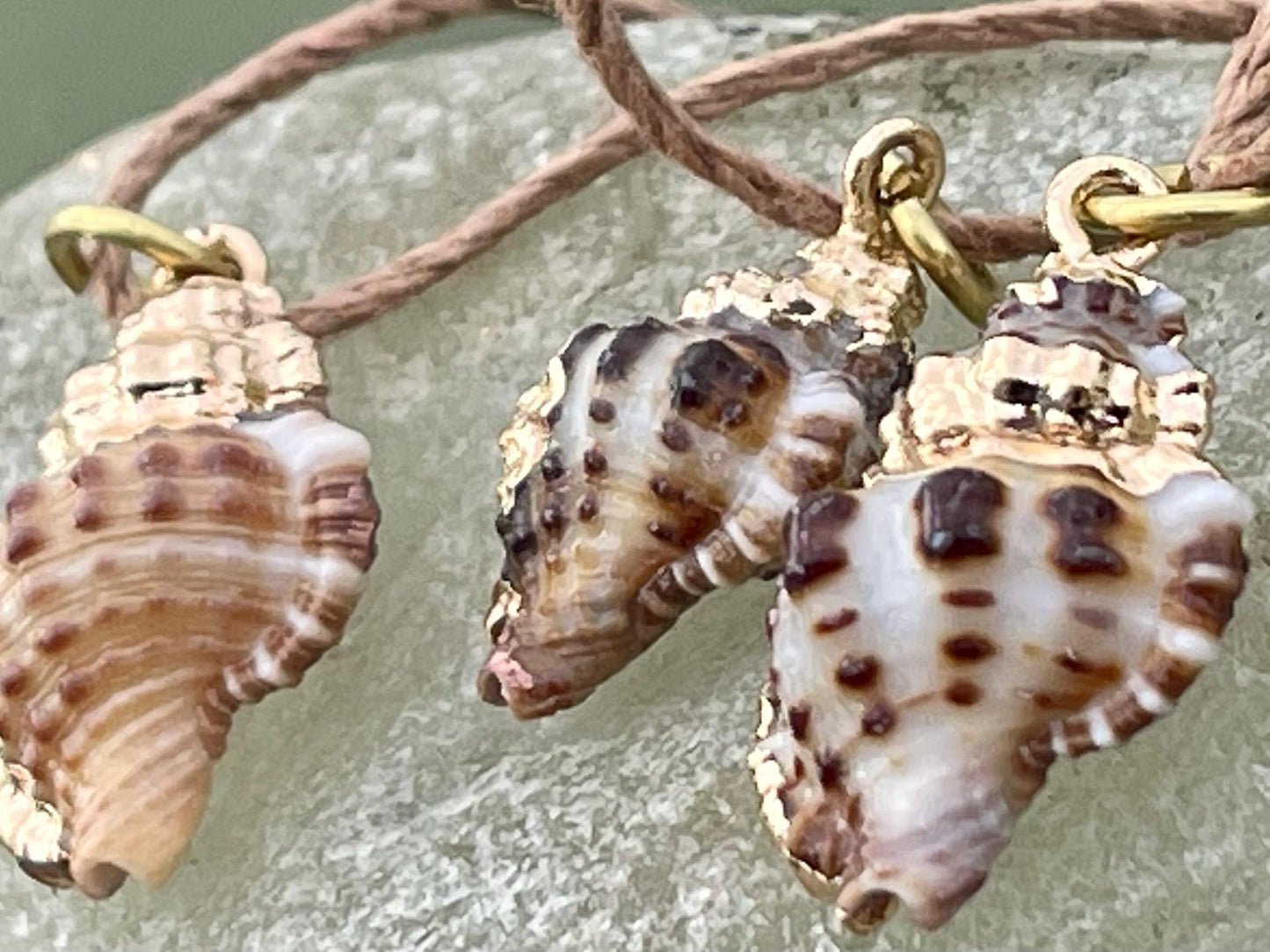 Pretty little painted gold shell necklace held on recycled brass and sustainable hemp. Shell jewellery. Boho jewellery. Eco friendly gifts.