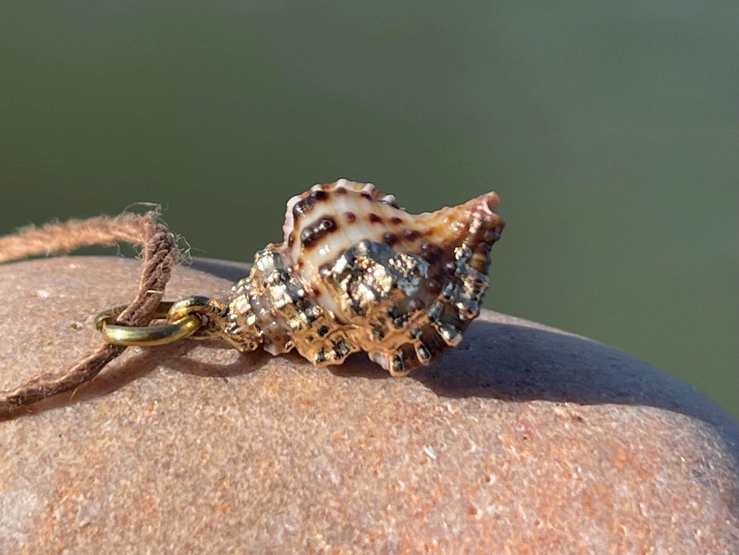 Pretty little painted gold shell necklace held on recycled brass and sustainable hemp. Shell jewellery. Boho jewellery. Eco friendly gifts.