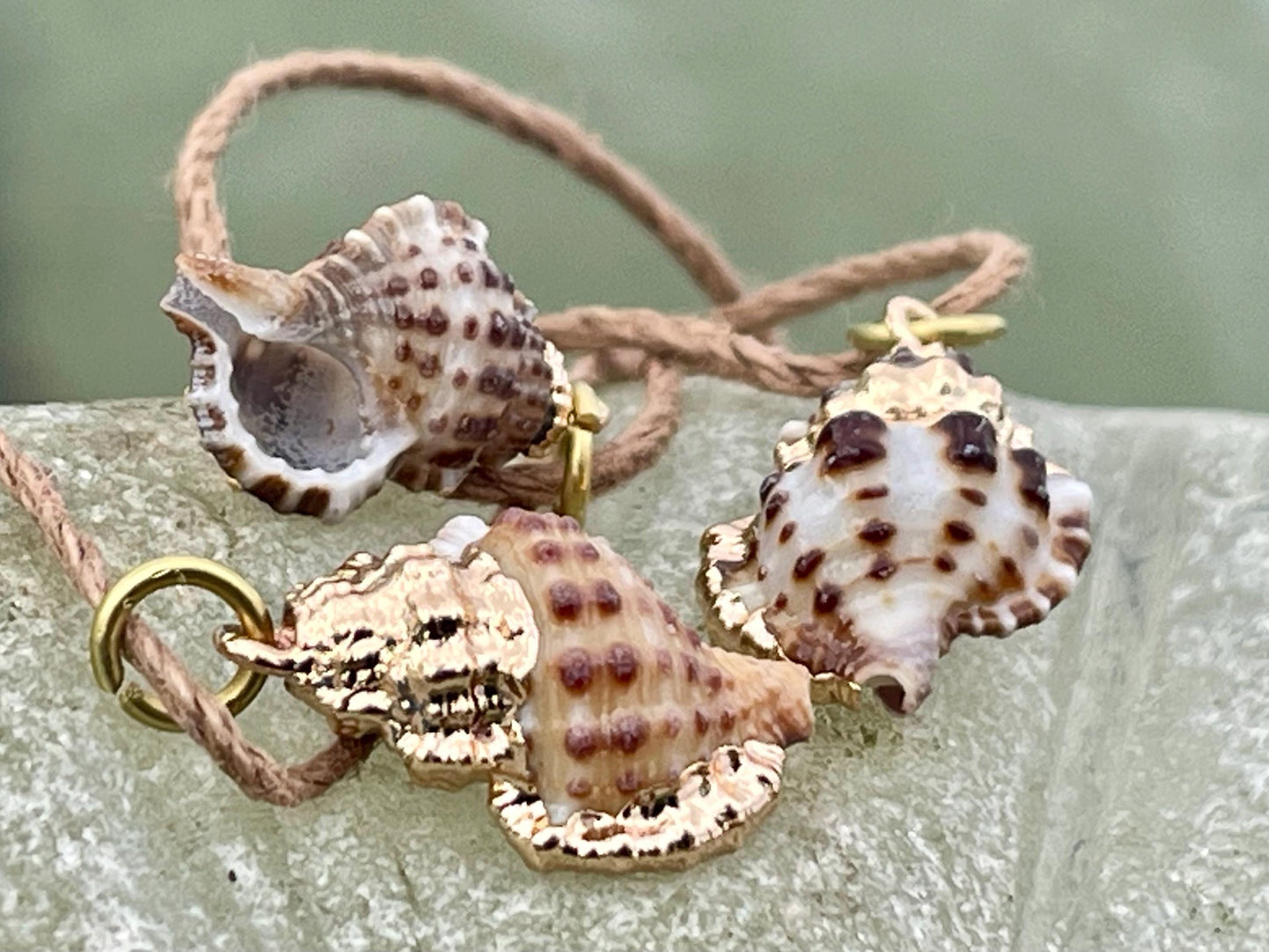 Pretty little painted gold shell necklace held on recycled brass and sustainable hemp. Shell jewellery. Boho jewellery. Eco friendly gifts.
