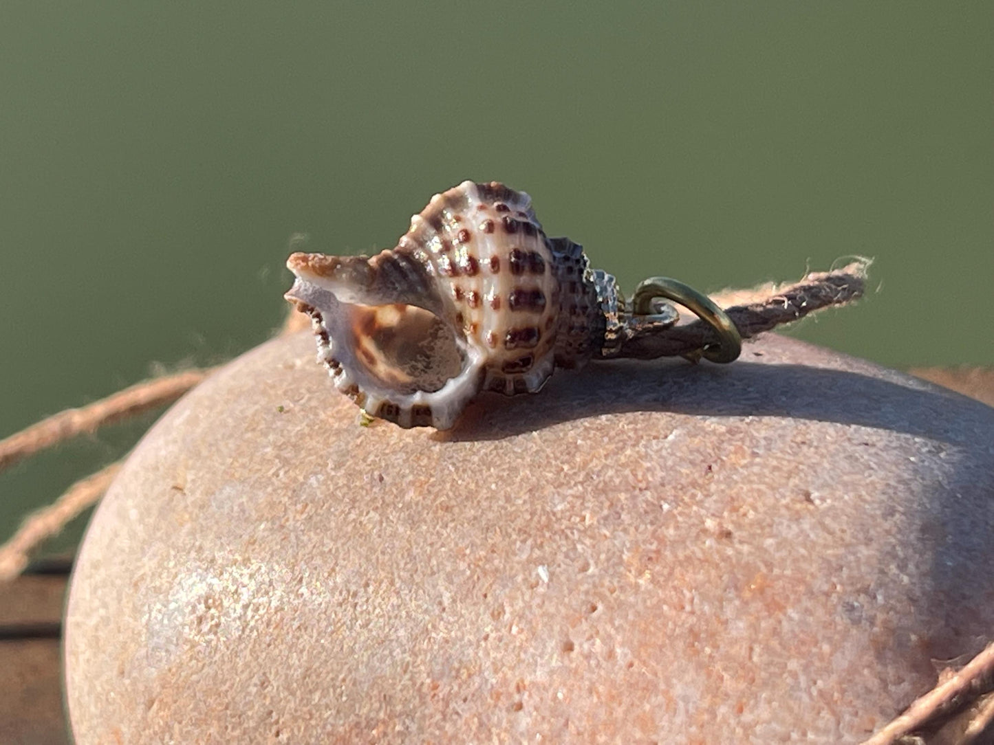 Pretty little painted gold shell necklace held on recycled brass and sustainable hemp. Shell jewellery. Boho jewellery. Eco friendly gifts.